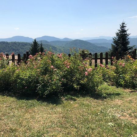 Casa Rural Mollo, Vall De Camprodon Luaran gambar