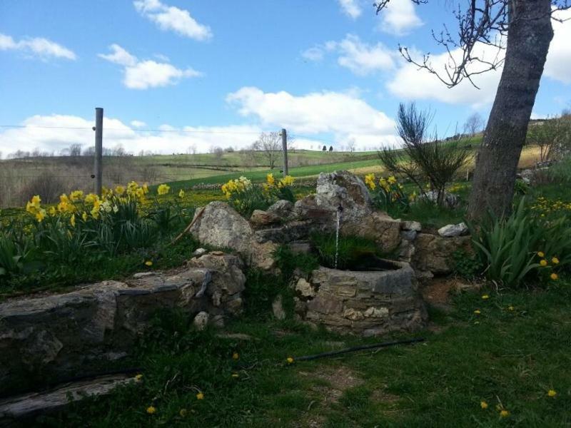 Casa Rural Mollo, Vall De Camprodon Luaran gambar